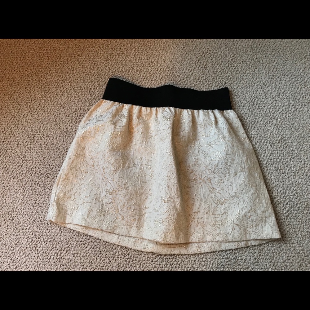 Gorgeous Holiday Mini Skirt